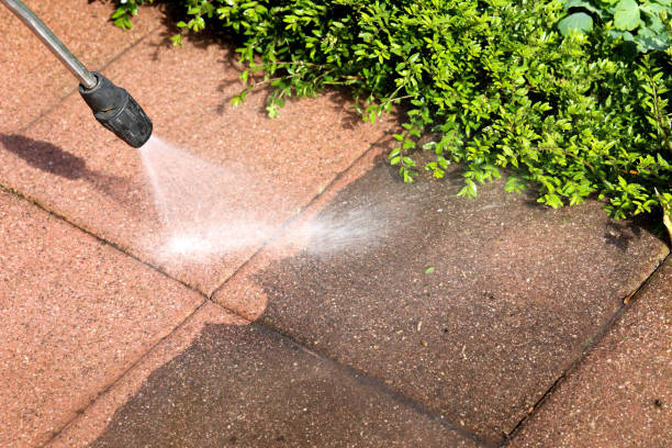Best Local Pressure Washing Services  in Griswold, IA